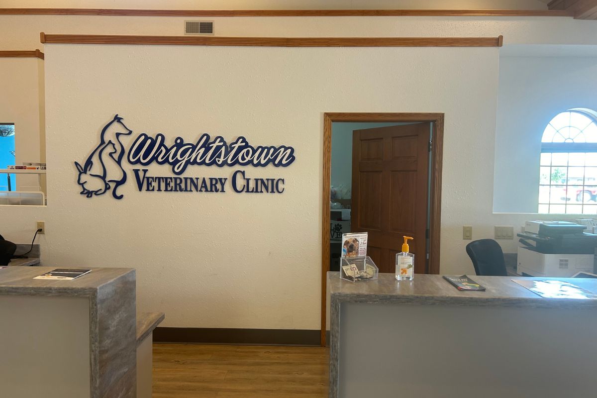 Wrightstown Veterinary Clinic Reception area