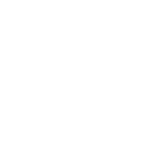 pet ultrasound icon