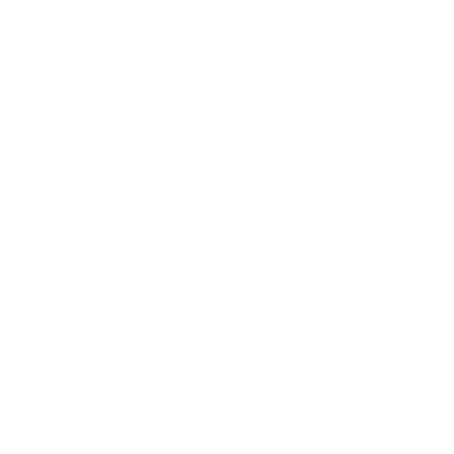 pet vaccination icon