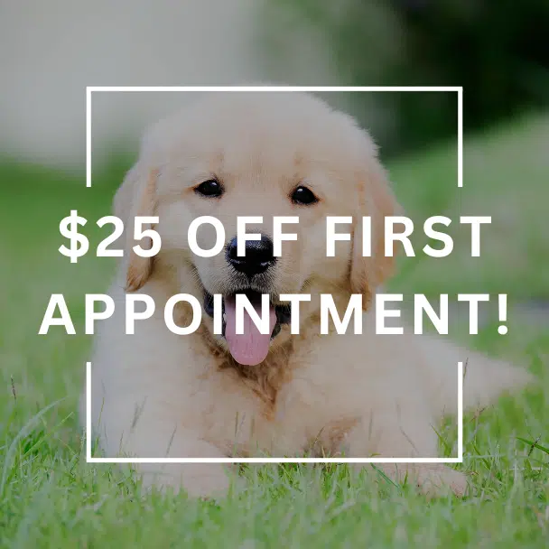Refer a Fur-iend Graphic